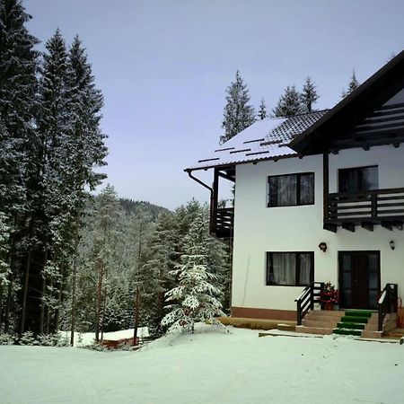 Pensiunea Vatra Bucovinei Ватра Молдовицей Экстерьер фото