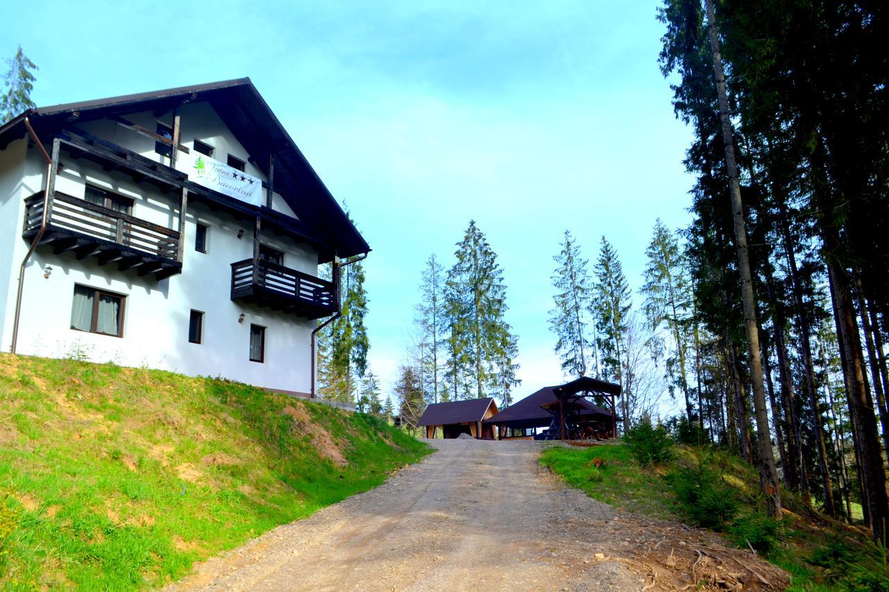 Pensiunea Vatra Bucovinei Ватра Молдовицей Экстерьер фото