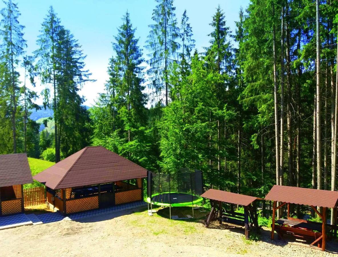 Pensiunea Vatra Bucovinei Ватра Молдовицей Экстерьер фото