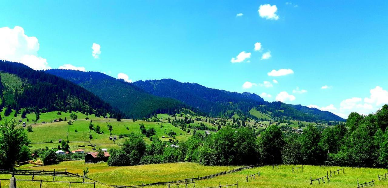 Pensiunea Vatra Bucovinei Ватра Молдовицей Экстерьер фото